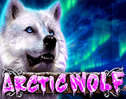 Arctic Wolf