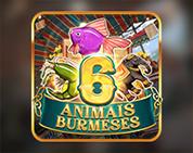 Burmese 6 Animals